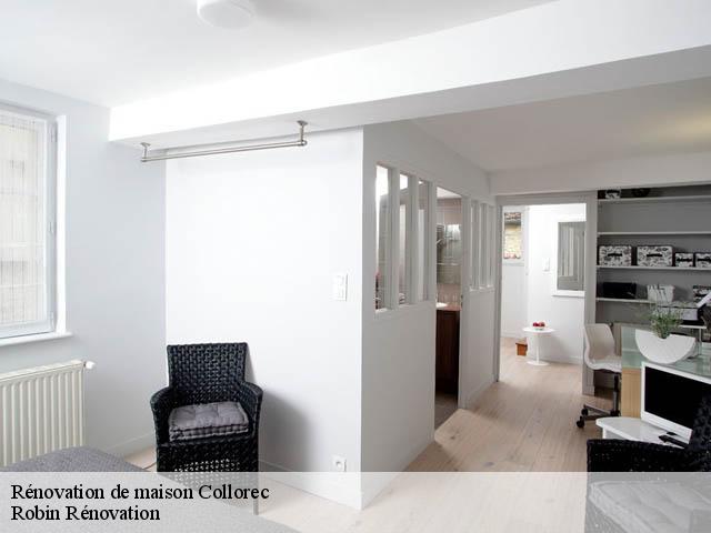 Rénovation de maison  29530