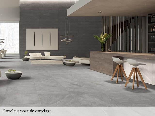 Carreleur pose de carrelage  29560