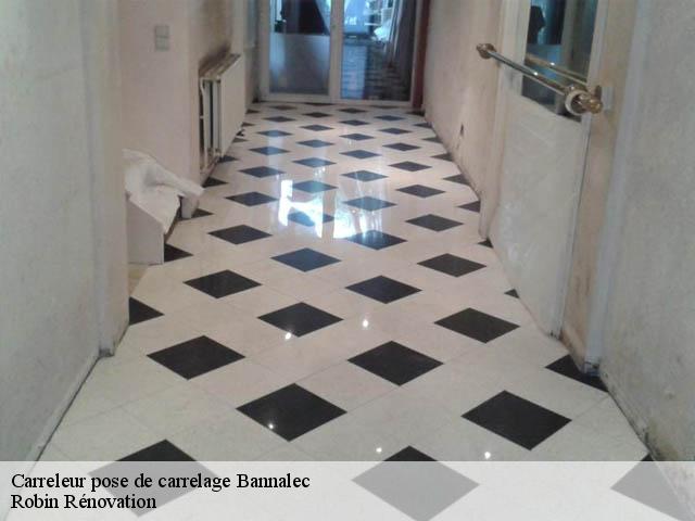 Carreleur pose de carrelage  29380