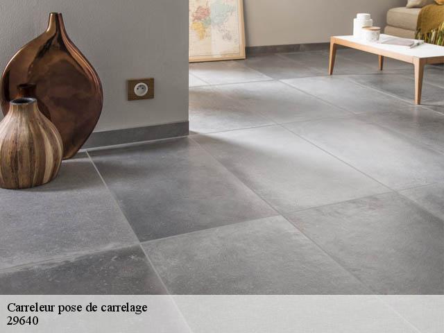 Carreleur pose de carrelage  29640