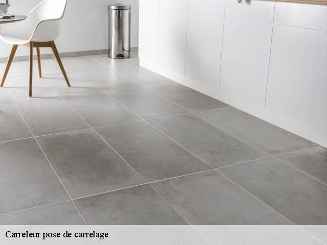 Carreleur pose de carrelage