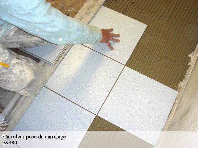 Carreleur pose de carrelage 29980