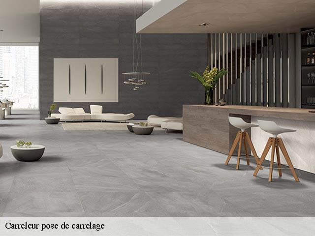 Carreleur pose de carrelage 29000