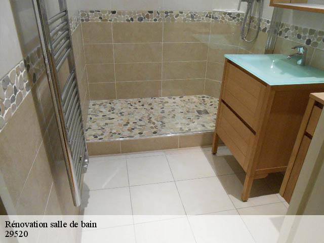 Rénovation salle de bain 29520